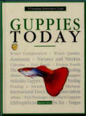 GuppToday